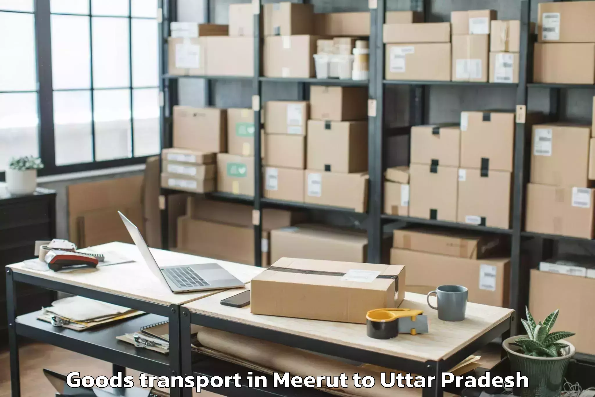 Top Meerut to Talbehat Goods Transport Available